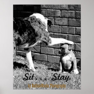 Zit- - - Blijf - - - Poster