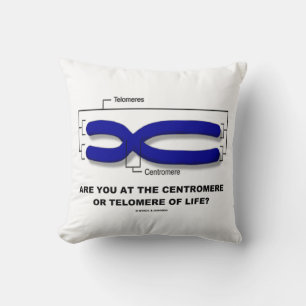 Zit Je Aan Het Centromeer Of Telomeer Van Het Leve Kussen