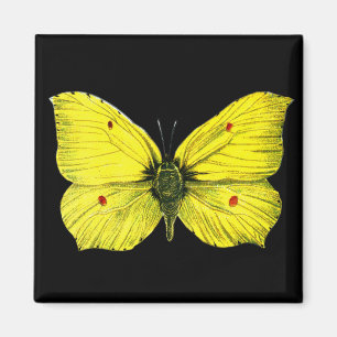 Zitronenfalter Magneet