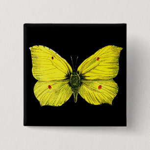 Zitronenfalter Vierkante Button 5,1 Cm