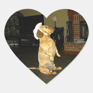 Zitten  of Tv-dachshund bekijken Hart Sticker