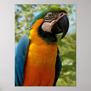 Zitten voor jou poster