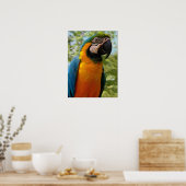 Zitten voor jou poster (Keuken)