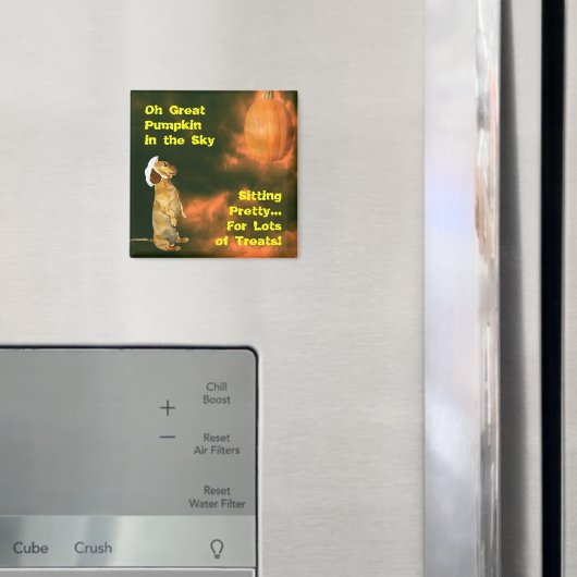 Zitten voor veel behandelingen magneet (Insitu (Koelkast))