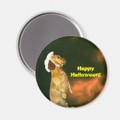 Zitten voor veel behandelingen magneet (Voorkant / Achterkant)