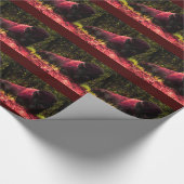 Zittend Buffalo Bison Rode Tonen Kunstwerk Wrap Pa Cadeaupapier (Hoek)