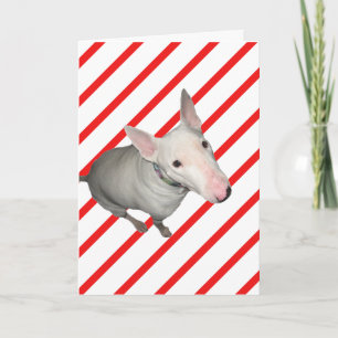 Zittend /Rood en Wit Streep-Kerstmis Kaart