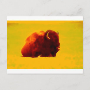 Zittende bizon briefkaart
