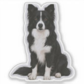 Zittende Border Collie Sticker (Voorkant)