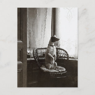 Zittende Hond bij Raam Vintage Kunst Reproductie Briefkaart