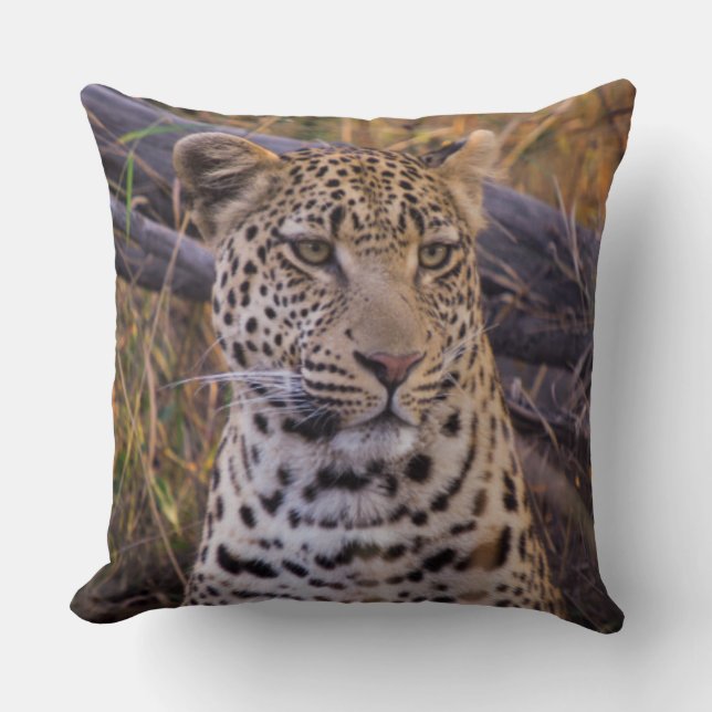 Zittende luipaard, Botswana, Afrika Kussen (Voorkant)