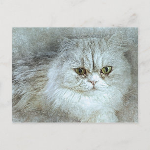 Zitterend Kat ABSTRACT WATERVERF Briefkaart