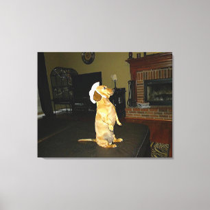 Zitterend  of kijkend TV Dachshund Canvas Afdruk