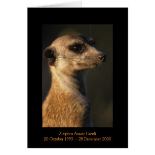 Ziziphus - Legends Card