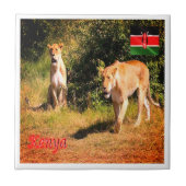 zKE005 KENIA, Leeuwen, Afrika, Tegeltje (Voorkant)