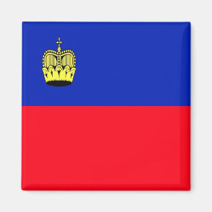 zLI001 FLAG of LIECHTENSTEIN - Fridge Aimant