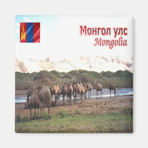 zMN008 KHONGORYN ELS CAMELS, Mongolië, Fridge Magneet