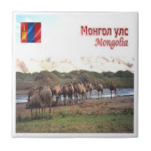 zMN008 KHONGORYN ELS CAMELS, Mongolië, Tegeltje (Voorkant)