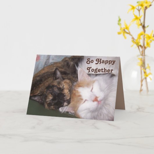 Zo blij samen twee inhoud katten Jubileum Kaart (Gele Bloem)
