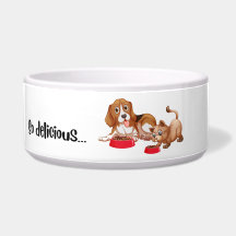 Zo heerlijk! - honden- en kattenbowlen
