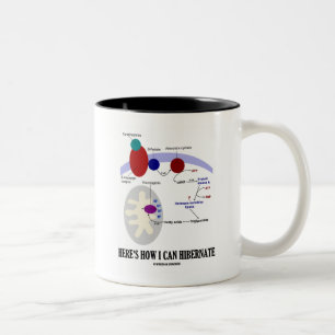 Zo kan ik Slubernaat (Thermogenese) Tweekleurige Koffiemok