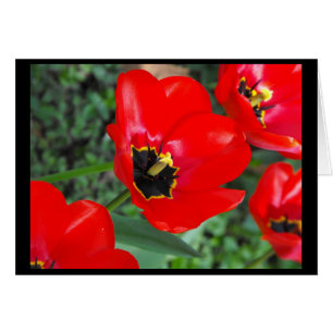 Zo klaar voor lente~1