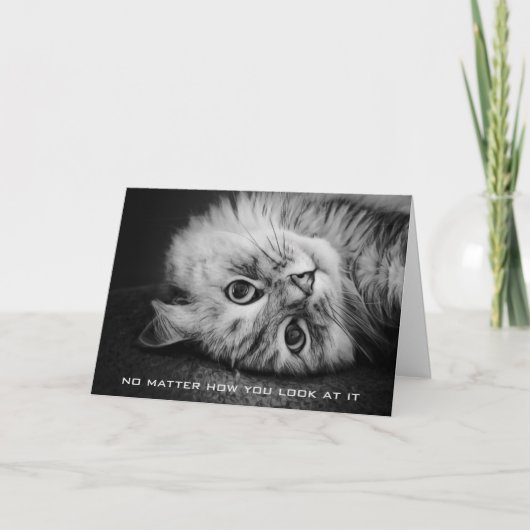 Zo meowvelous verjaardag Kaart (Voorkant)