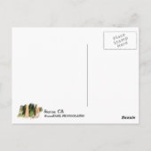 Zo mooi Sequoia Briefkaart! Briefkaart (Achterkant)