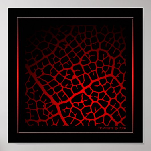 Zo Vein Poster (Voorkant)