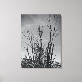 Zoals Ashes uit een Phoenix Canvas Afdruk