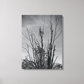 Zoals Ashes uit een Phoenix Canvas Afdruk