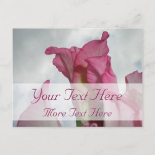 Zoals Crystal Pink Gladiolus Briefkaart