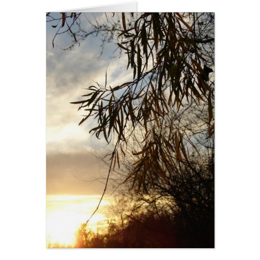 Zoals de zon plaatst (Voorkant)