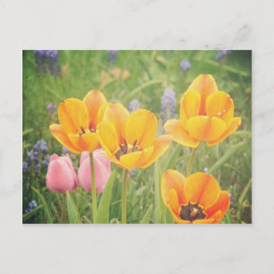 Zoals een mooi stilleven schilderij briefkaart