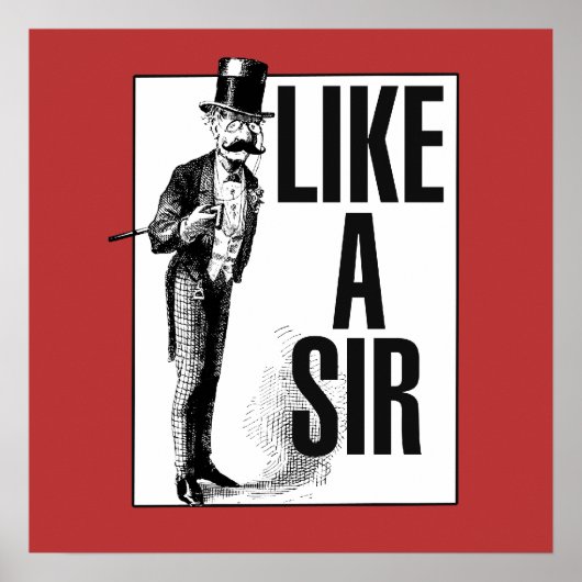Zoals een SIR Poster (Voorkant)