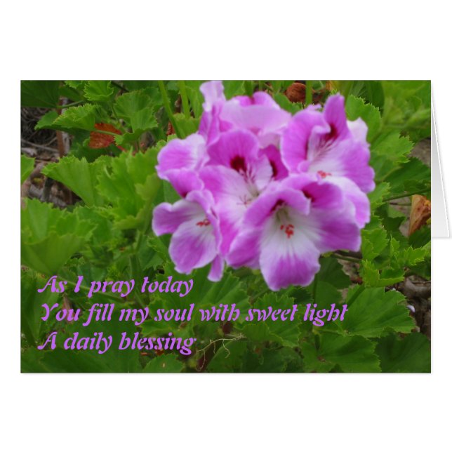 Zoals ik vandaag bid (Voorkant Horizontaal)