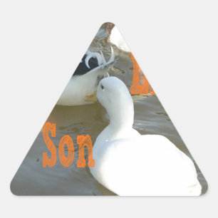 Zoals vader als zoon. driehoek sticker