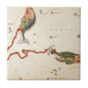 'Zodia Sign: Vissen' keramische tegel Tegeltje