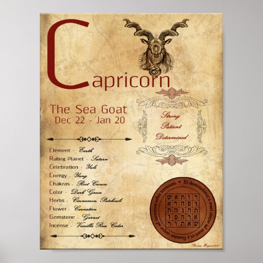 ZODIAC CAPRICORN Birth Sign POSTER (Voorkant)