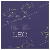 Zodiac Constellation Leo Stof (Close Up)