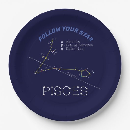 Zodiac Constellation Pisces Papieren Bordje (Voorkant)