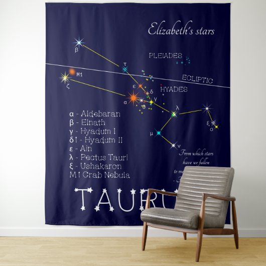Zodiac Constellation Taurus Wandkleed (In situ)