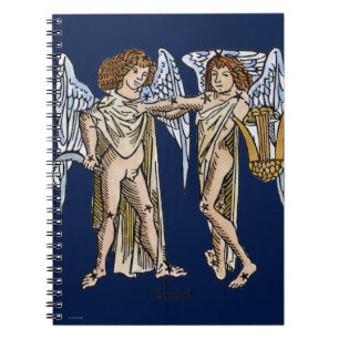 Zodiac: Gemini 1482 Notitieboek