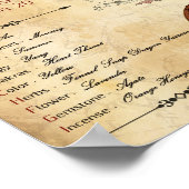 ZODIAC GEMINI Birth Sign POSTER (Hoek)