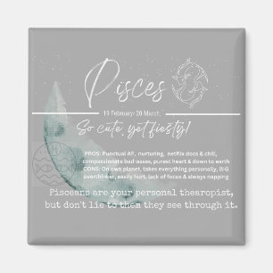 Zodiac magnet- pisces magneet