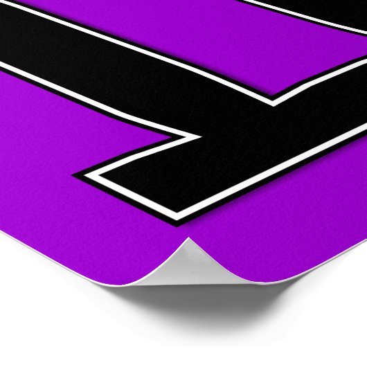 Zodiac poster (Hoek)