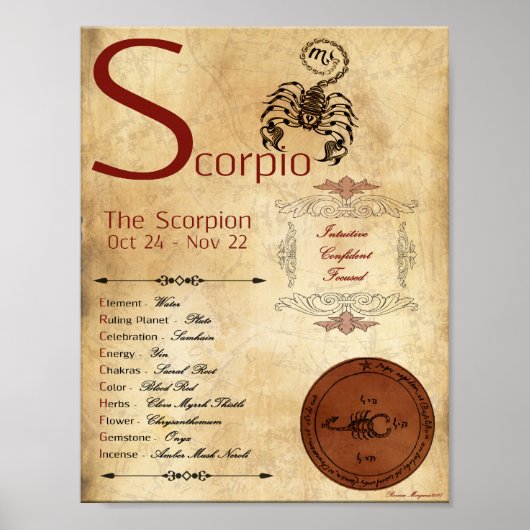 ZODIAC SCORPIO Birth Sign POSTER (Voorkant)