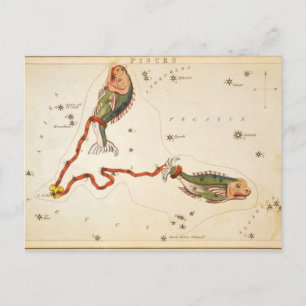 "Zodiac Sign: Vissen" briefkaart