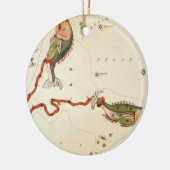 "Zodiac Sign: Vissen" ornament (Links)