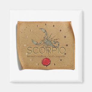 ZODIAQUE - Scorpion - Aimant
